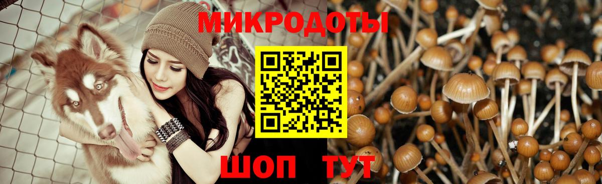 Электросталь  Галлюциногенные грибы Cubensis  Вход с VPN 